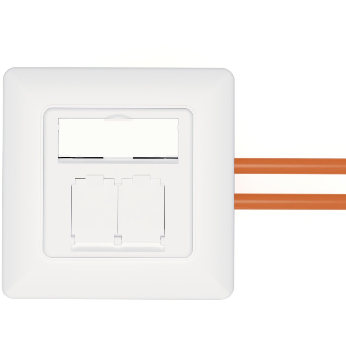 DIGITUS Cat 6A Shielded Network Outlet 2x RJ45 - White — Buy in Cyprus with Fast Delivery