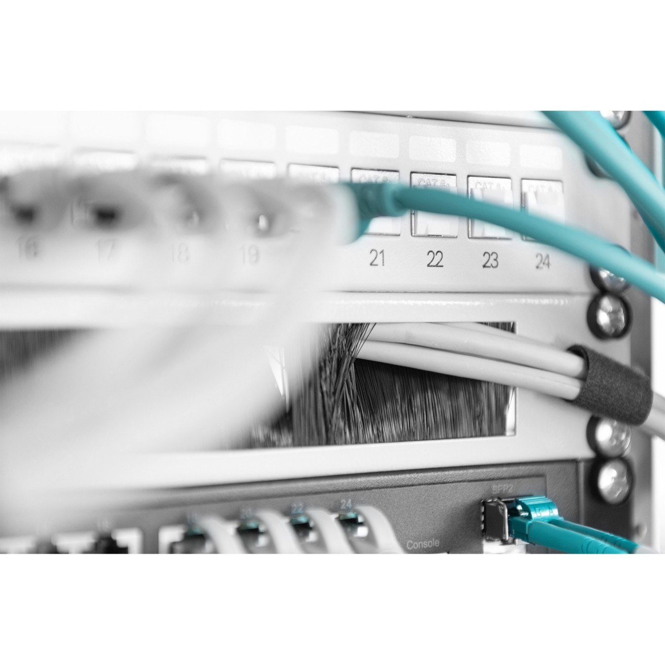 Cable brush strip 1U opening 24x423mm grey — Buy in Cyprus with Fast Delivery