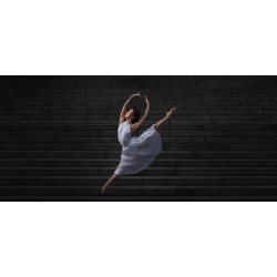 Buy Olympus M.ZUIKO DIGITAL ED 25mm F1.2 PRO - ES-M2512PRO.B W - Black in Cyprus, Nicosia, Limassol, Larnaka, Pafos