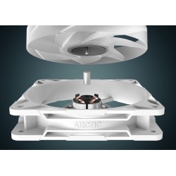 Arctic P14 Pro A-RGB (White) ACFAN00318A - 140mm PWM Case Fan 2500 RPM (Boxed) — Buy in Cyprus with Fast Delivery