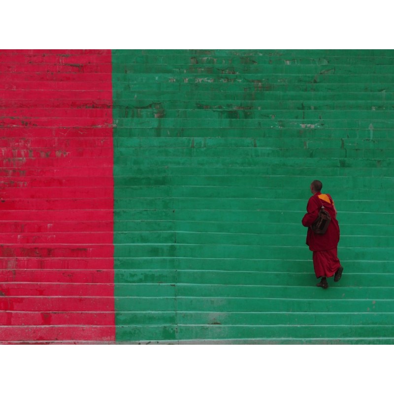 Buy M.Zuiko Digital ED 40-150mm F2.8 PRO - EZ-M4015PRO - Black in Cyprus, Nicosia, Limassol, Larnaka, Pafos