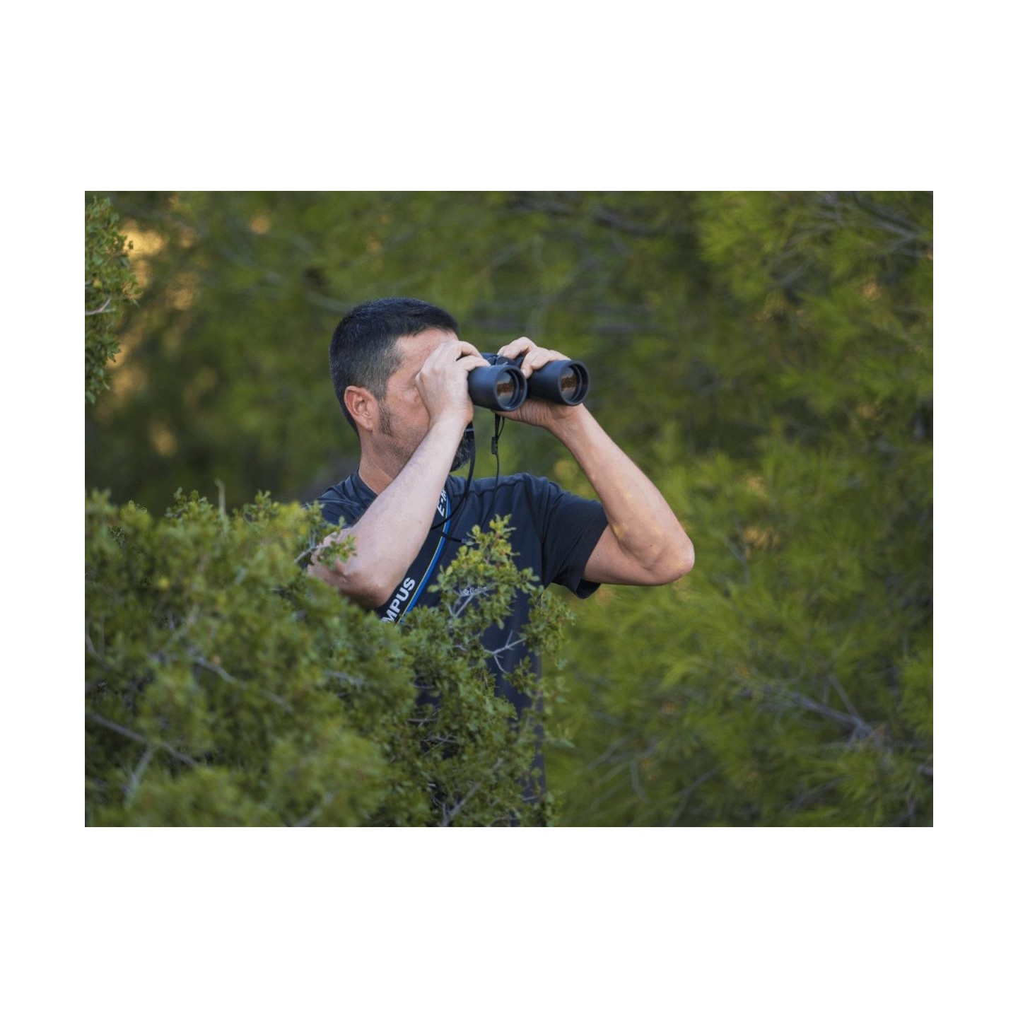 Olympus Binoculars 8-16x40 S - Case & Strap Included — Buy in Cyprus with Fast Delivery