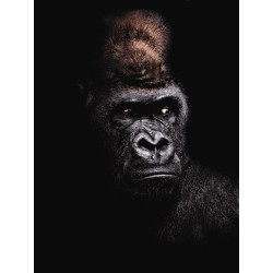 Buy Olympus M.Zuiko Digital ED 40-150mm f/4-5.6 R - EZ-M4015-R - Black, Micro Fo... in Cyprus, Nicosia, Limassol, Larnaka, Pafos