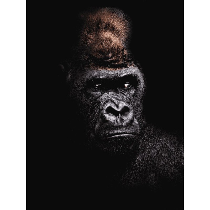 Buy Olympus M.Zuiko Digital ED 40-150mm f/4-5.6 R - EZ-M4015-R - Black, Micro Fo... in Cyprus, Nicosia, Limassol, Larnaka, Pafos