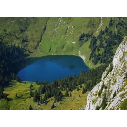 Buy Olympus M.Zuiko Digital ED 40-150mm f/4-5.6 R - EZ-M4015-R - Black, Micro Fo... in Cyprus, Nicosia, Limassol, Larnaka, Pafos