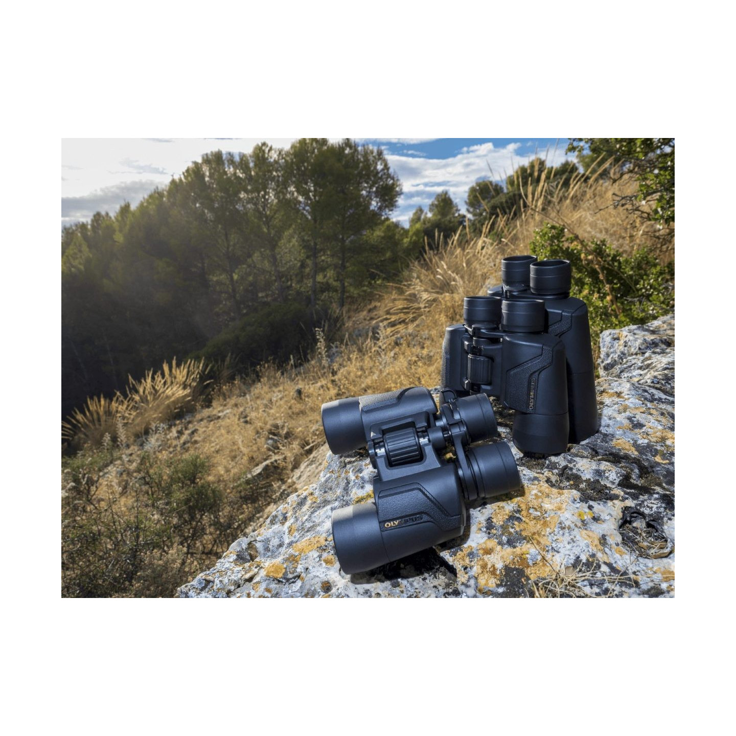 Olympus Binoculars 8x40 S - Case & Strap Included — Buy in Cyprus with Fast Delivery