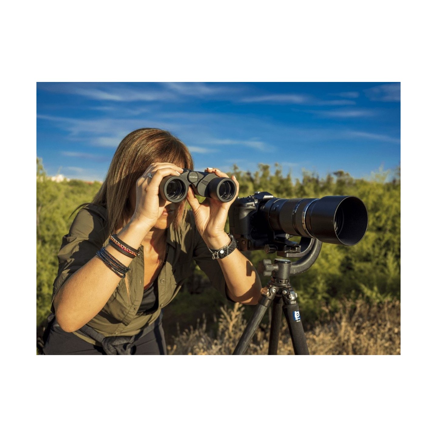 Olympus Binoculars 8x40 S - Case & Strap Included — Buy in Cyprus with Fast Delivery