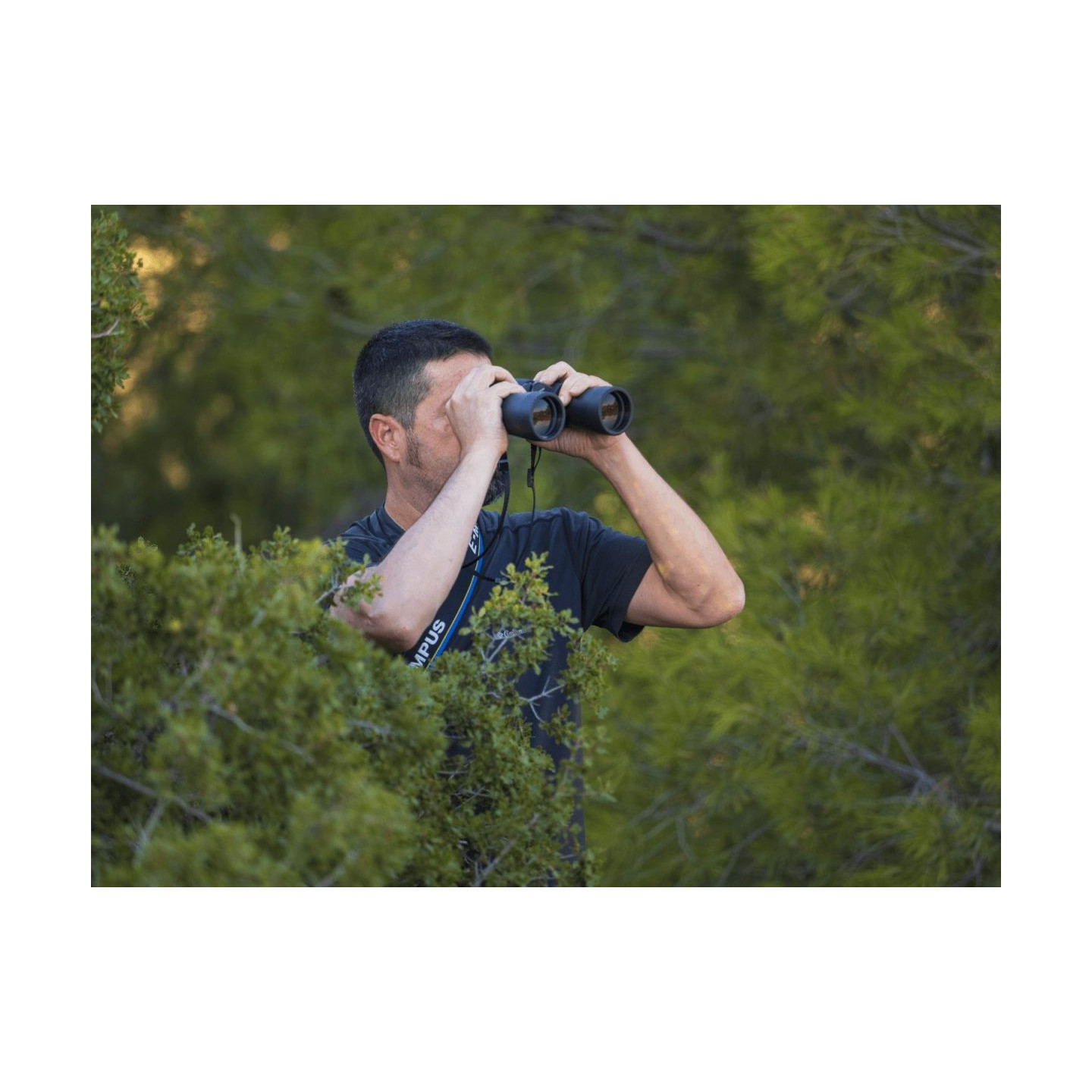 Olympus Binoculars 8x40 S - Case & Strap Included — Buy in Cyprus with Fast Delivery