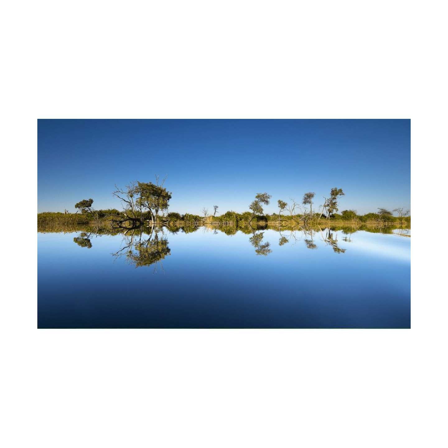 OLYMPUS M.ZUIKO DIGITAL ED 7-14mm F2.8 PRO - 7-14mm F2.8 PRO - Ultra-wide, weather-sealed pro lens