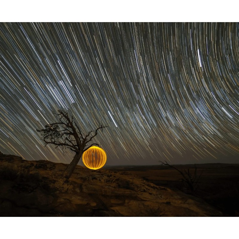 Buy OLYMPUS M.ZUIKO DIGITAL ED 7-14mm F2.8 PRO - 7-14mm F2.8 PRO - Ultra-wide, w... in Cyprus, Nicosia, Limassol, Larnaka, Pafos