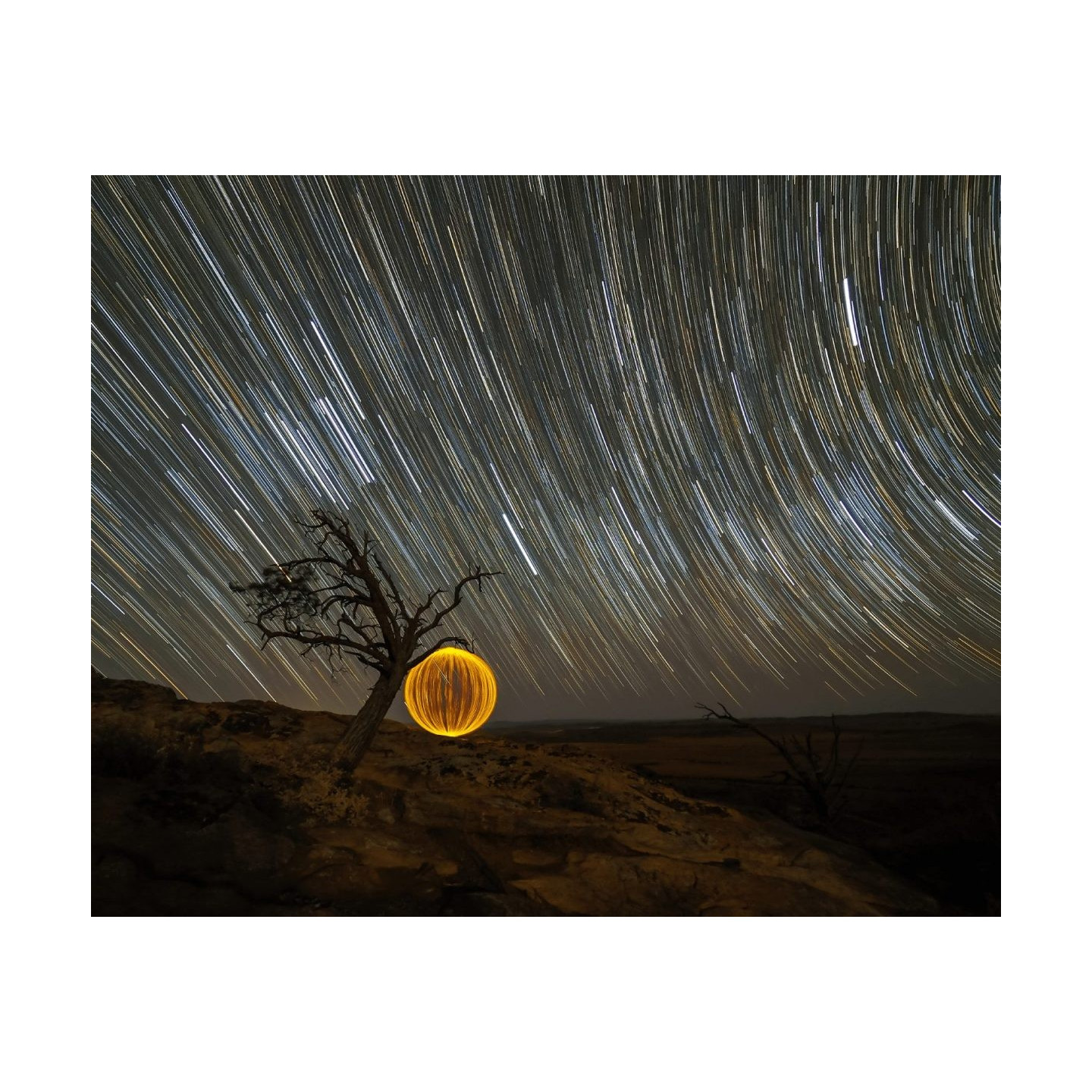 OLYMPUS M.ZUIKO DIGITAL ED 7-14mm F2.8 PRO - 7-14mm F2.8 PRO - Ultra-wide, weather-sealed pro lens