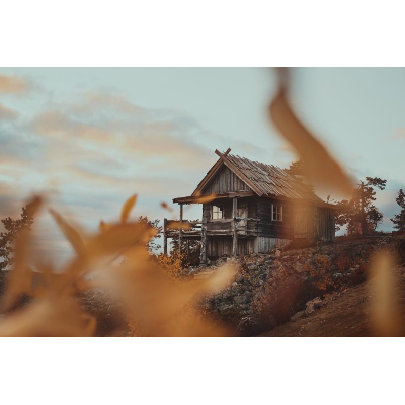 Buy Olympus OM SYSTEM M.Zuiko PRO Digital ED 20mm 1:1.4 incl. Lens hood & Wrappi... in Cyprus, Nicosia, Limassol, Larnaka, Pafos