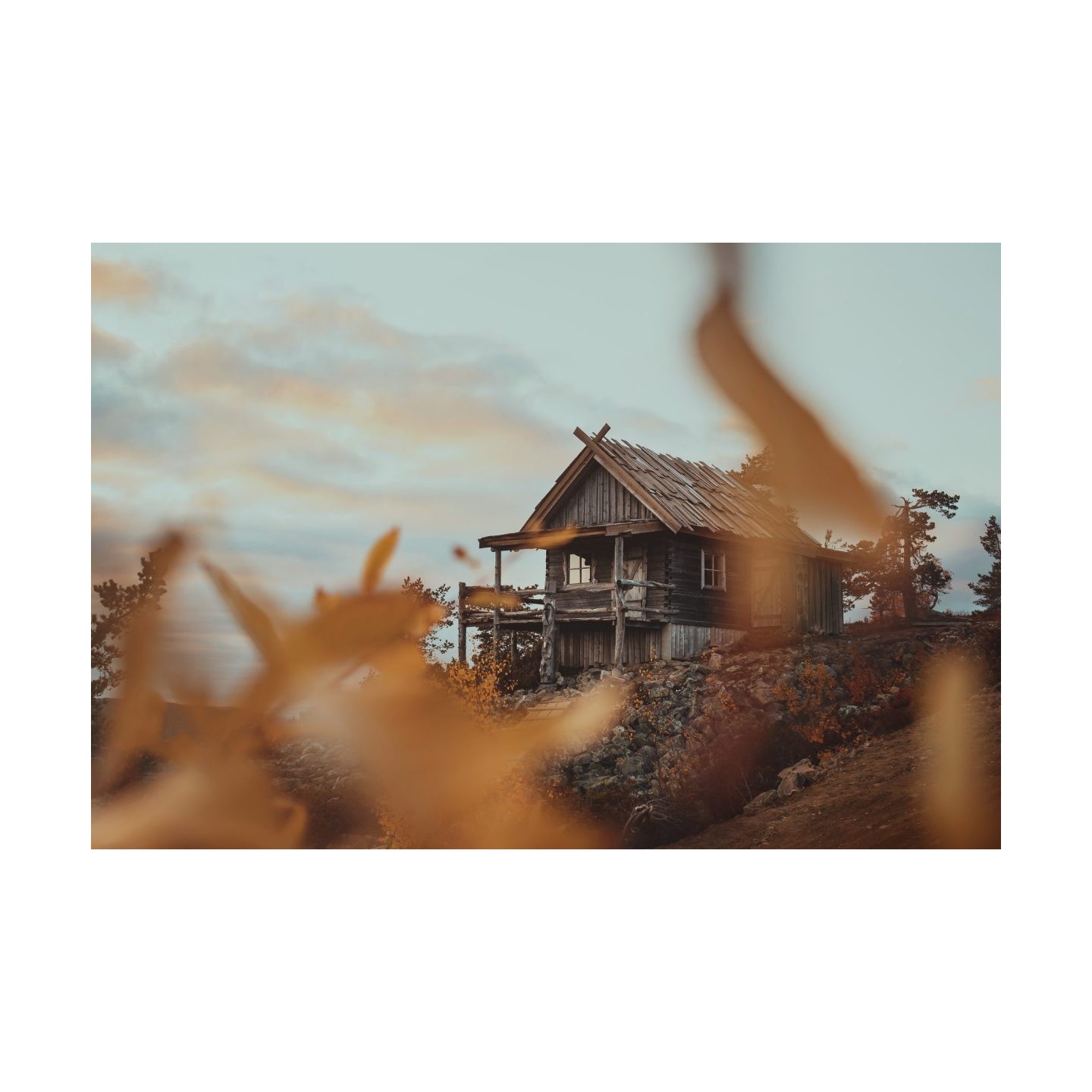 Olympus OM SYSTEM M.Zuiko PRO Digital ED 20mm 1:1.4 incl. Lens hood & Wrapping cloth — Buy in Cyprus with Fast Delivery