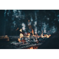 Buy Olympus OM SYSTEM M.Zuiko PRO Digital ED 20mm 1:1.4 incl. Lens hood & Wrappi... in Cyprus, Nicosia, Limassol, Larnaka, Pafos