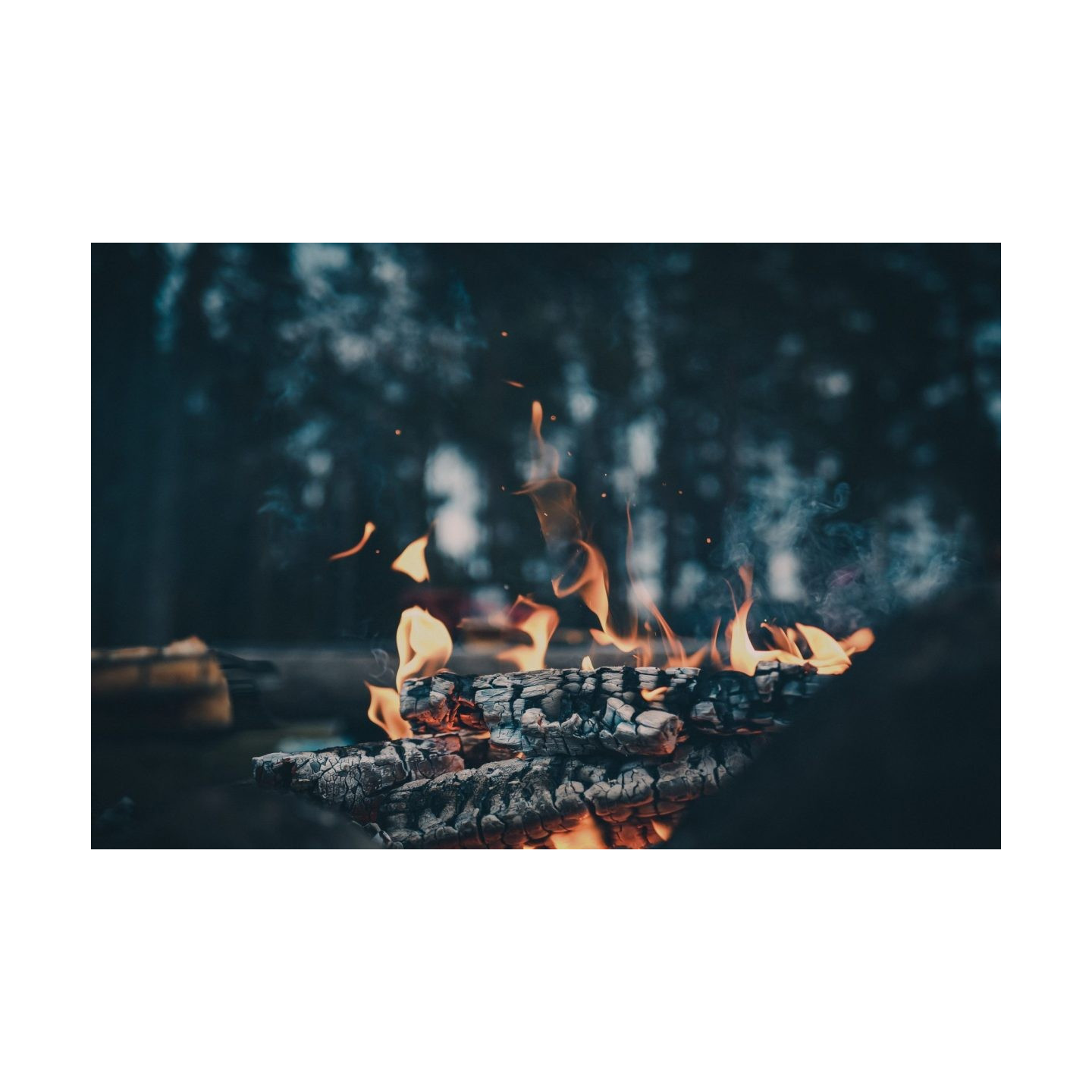 Olympus OM SYSTEM M.Zuiko PRO Digital ED 20mm 1:1.4 incl. Lens hood & Wrapping cloth — Buy in Cyprus with Fast Delivery