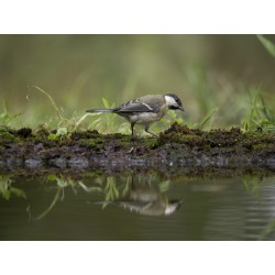 Buy M.Zuiko Digital ED 50-200mm F2.8 IS PRO - 50-200mm F2.8 IS PRO - Micro Four ... in Cyprus, Nicosia, Limassol, Larnaka, Pafos