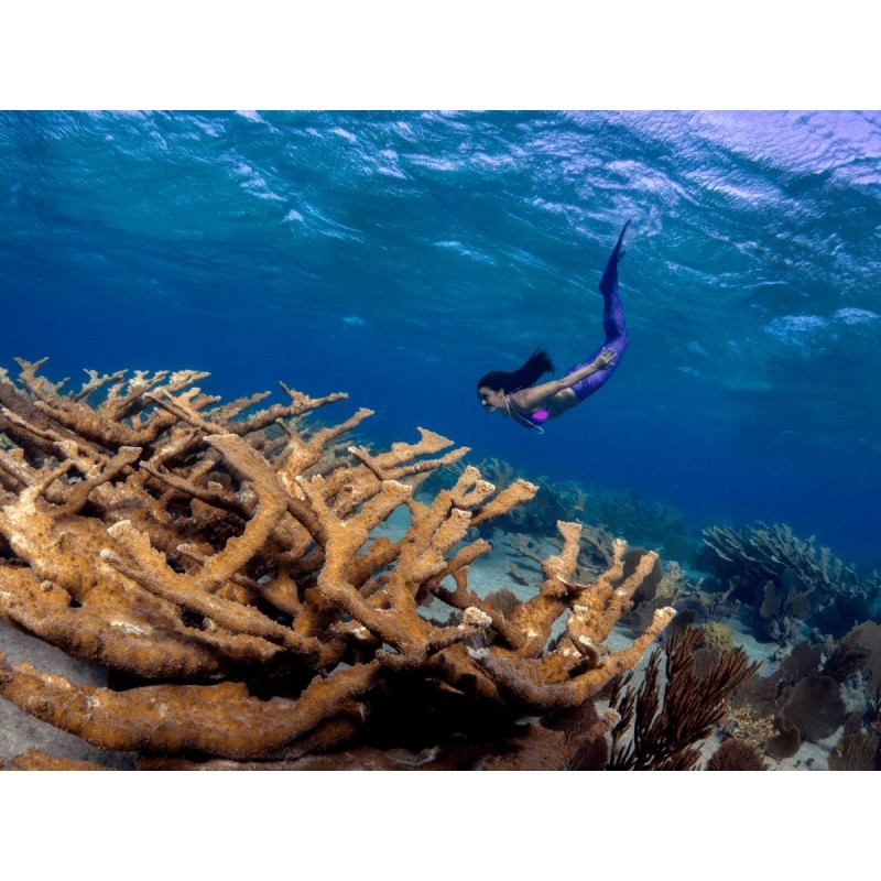 Buy M.ZUIKO DIGITAL ED 8mm F1.8 FISHEYE PRO - 8mm F1.8 - Ultra-wide fisheye lens in Cyprus, Nicosia, Limassol, Larnaka, Pafos