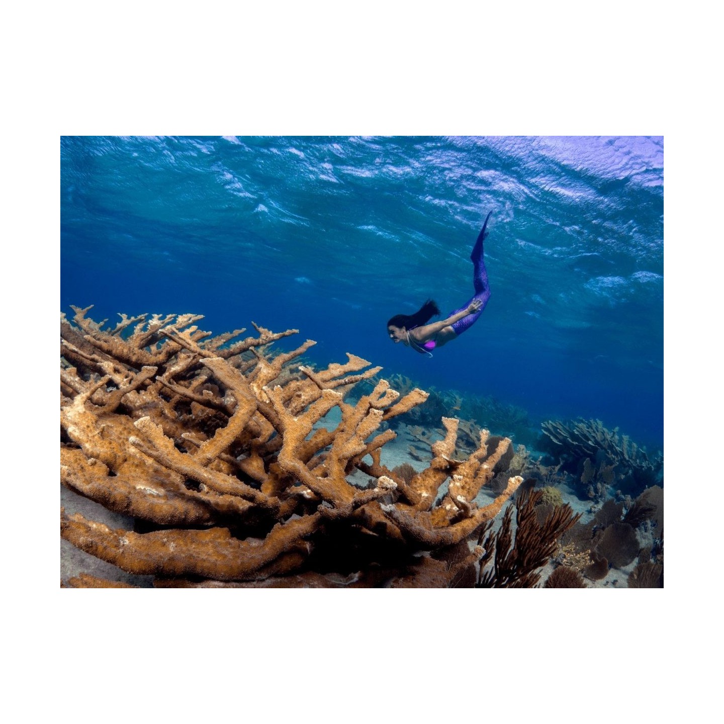 M.ZUIKO DIGITAL ED 8mm F1.8 FISHEYE PRO - 8mm F1.8 - Ultra-wide fisheye lens — Buy in Cyprus with Fast Delivery