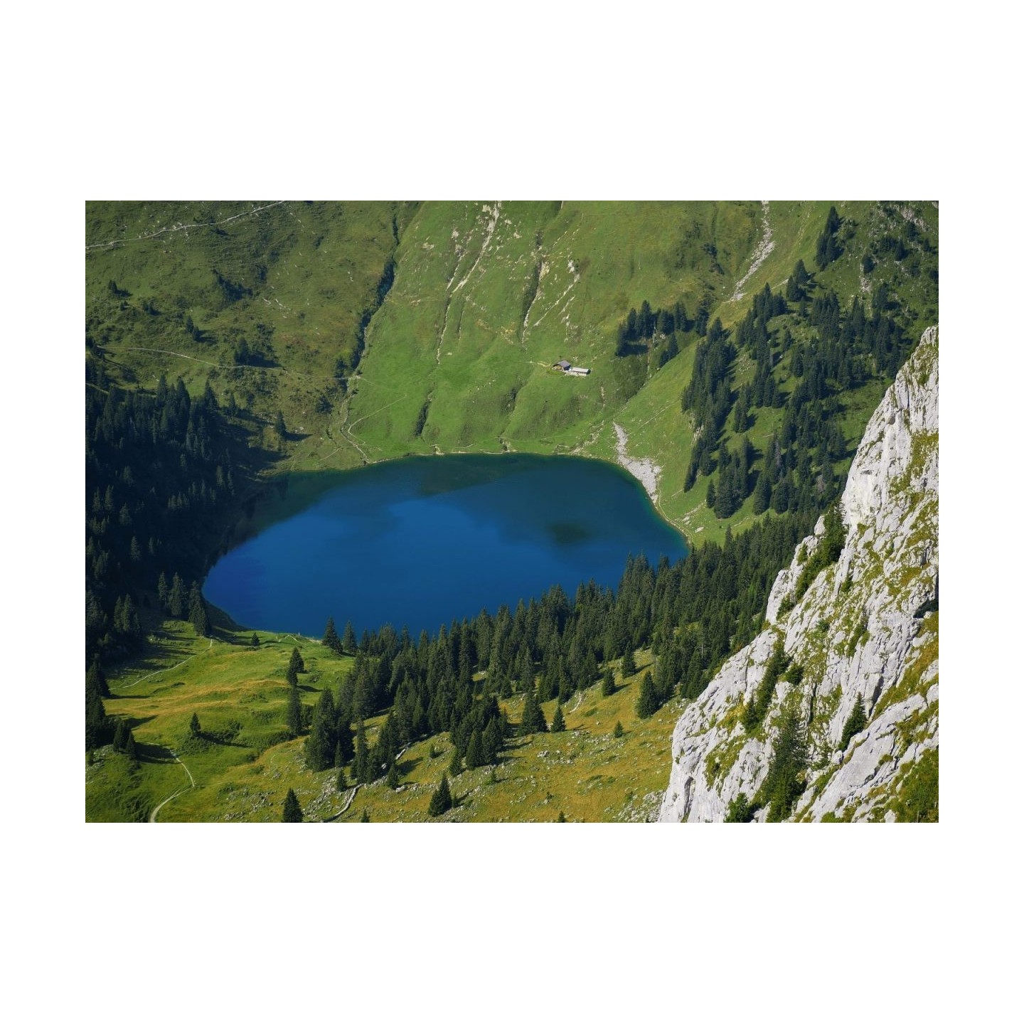 Olympus OM System M.Zuiko Digital ED 40-150mm F4.0-5.6 R EZ - M4015 R - (Silver) — Buy in Cyprus with Fast Delivery