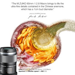 Buy Olympus M.Zuiko Digital 60mm f/2.8 Macro - EM-M6028 - Black, Micro Four Thirds in Cyprus, Nicosia, Limassol, Larnaka, Pafos