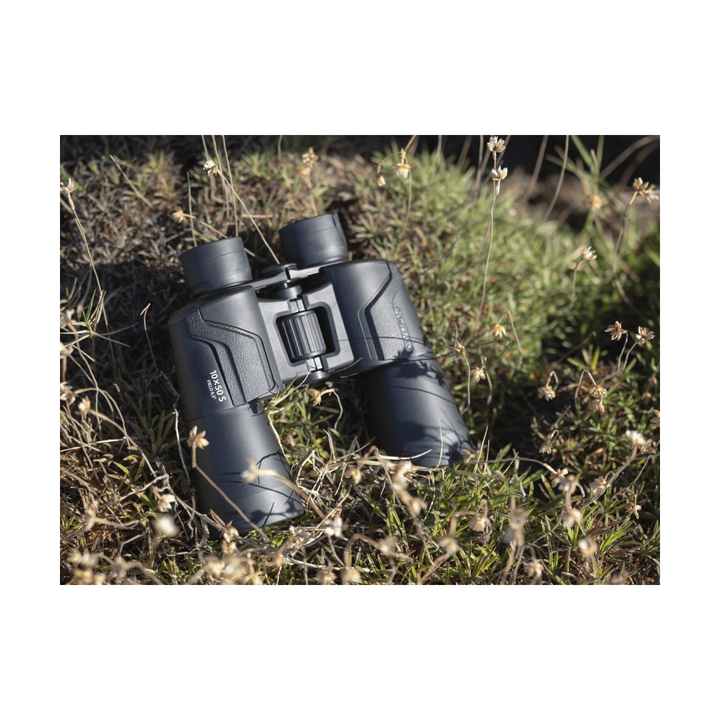 Olympus OM-System Binoculars 10x50 S - Compact, bright optics, case & strap included — Buy in Cyprus with Fast Delivery