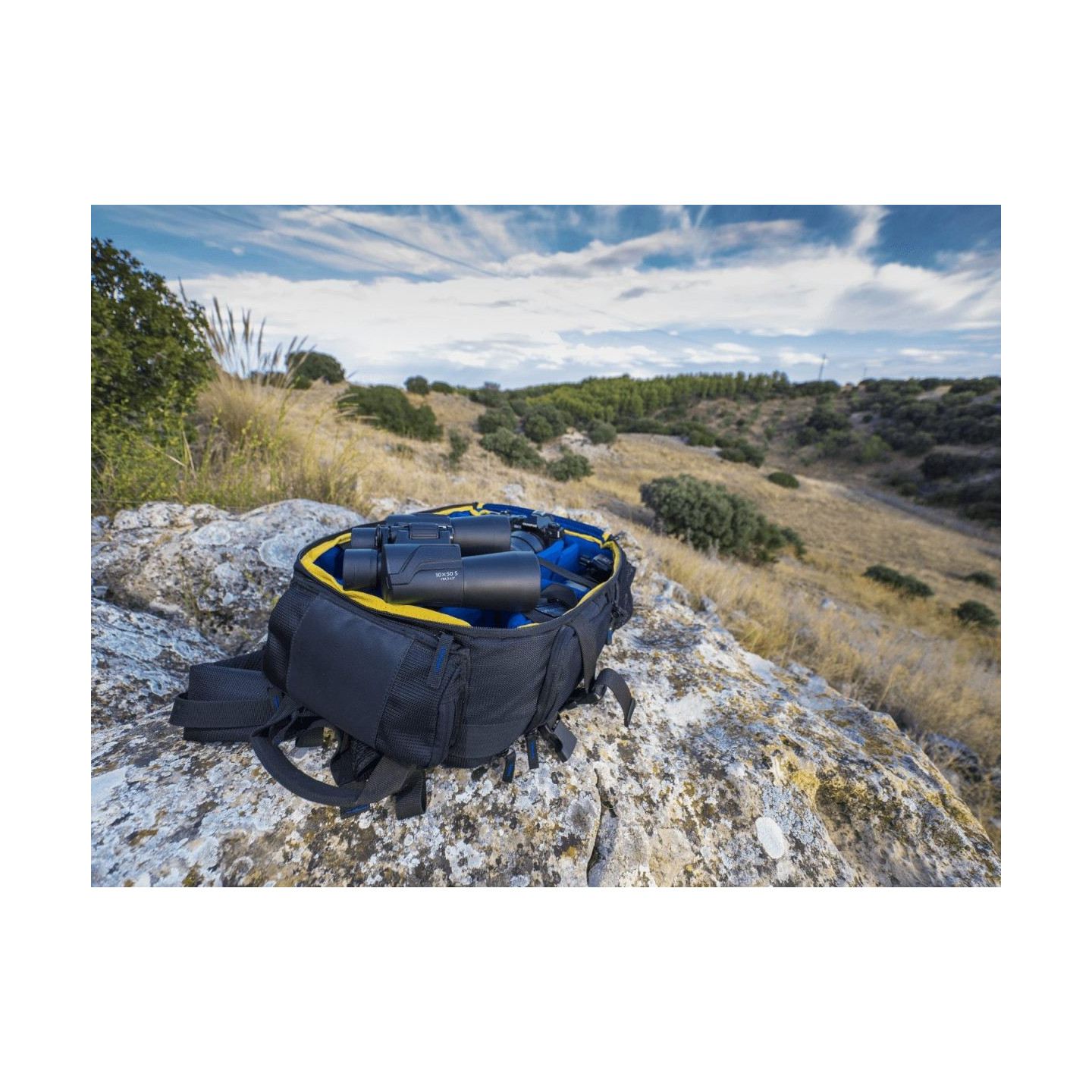 Olympus OM-System Binoculars 10x50 S - Compact, bright optics, case & strap included — Buy in Cyprus with Fast Delivery