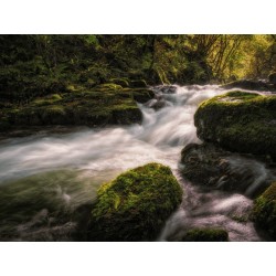 M.Zuiko Digital ED 12-45mm F4.0 PRO - EZ-M1245PRO - Ultra-compact, lightweight, weather-sealed