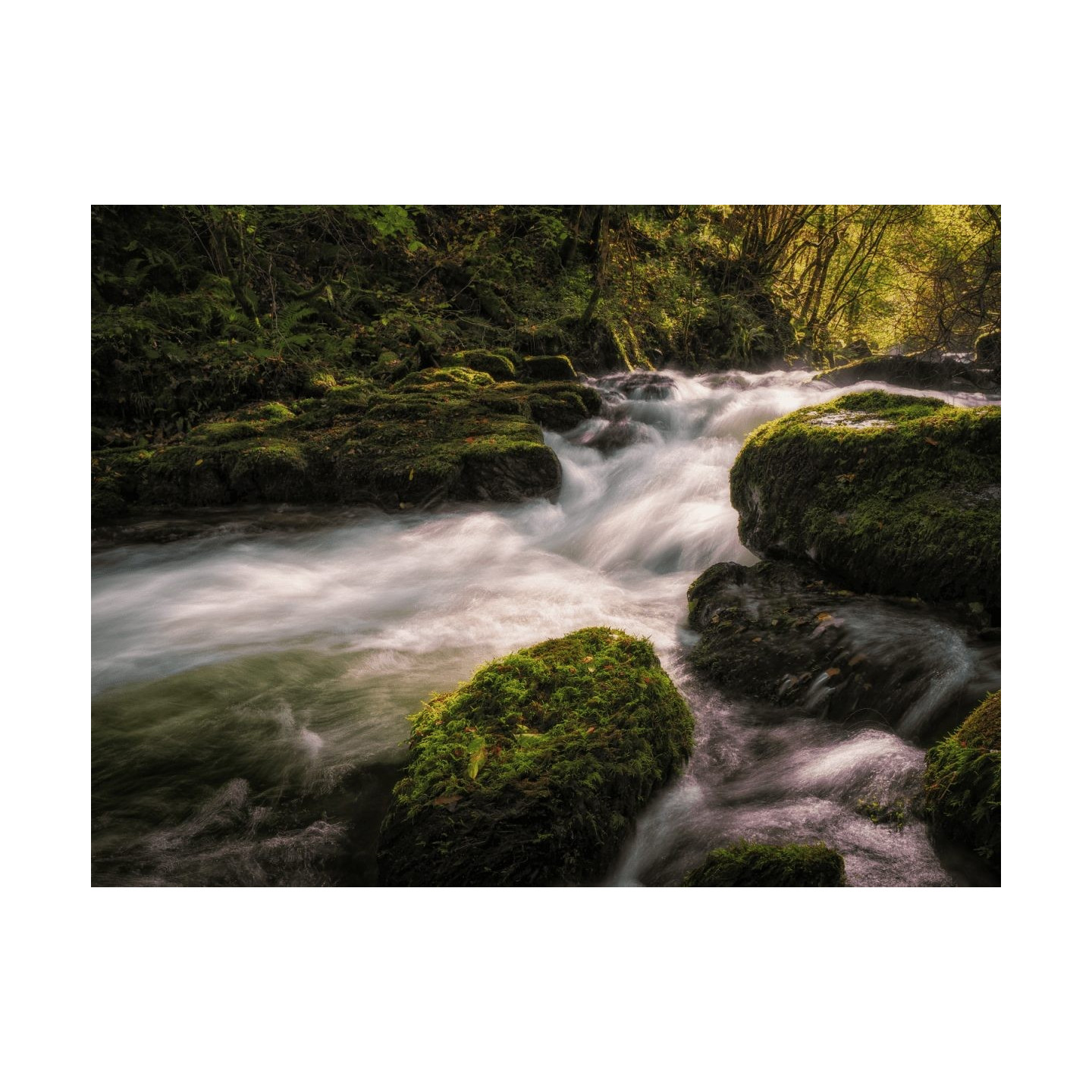 M.Zuiko Digital ED 12-45mm F4.0 PRO - EZ-M1245PRO - Ultra-compact, lightweight, weather-sealed