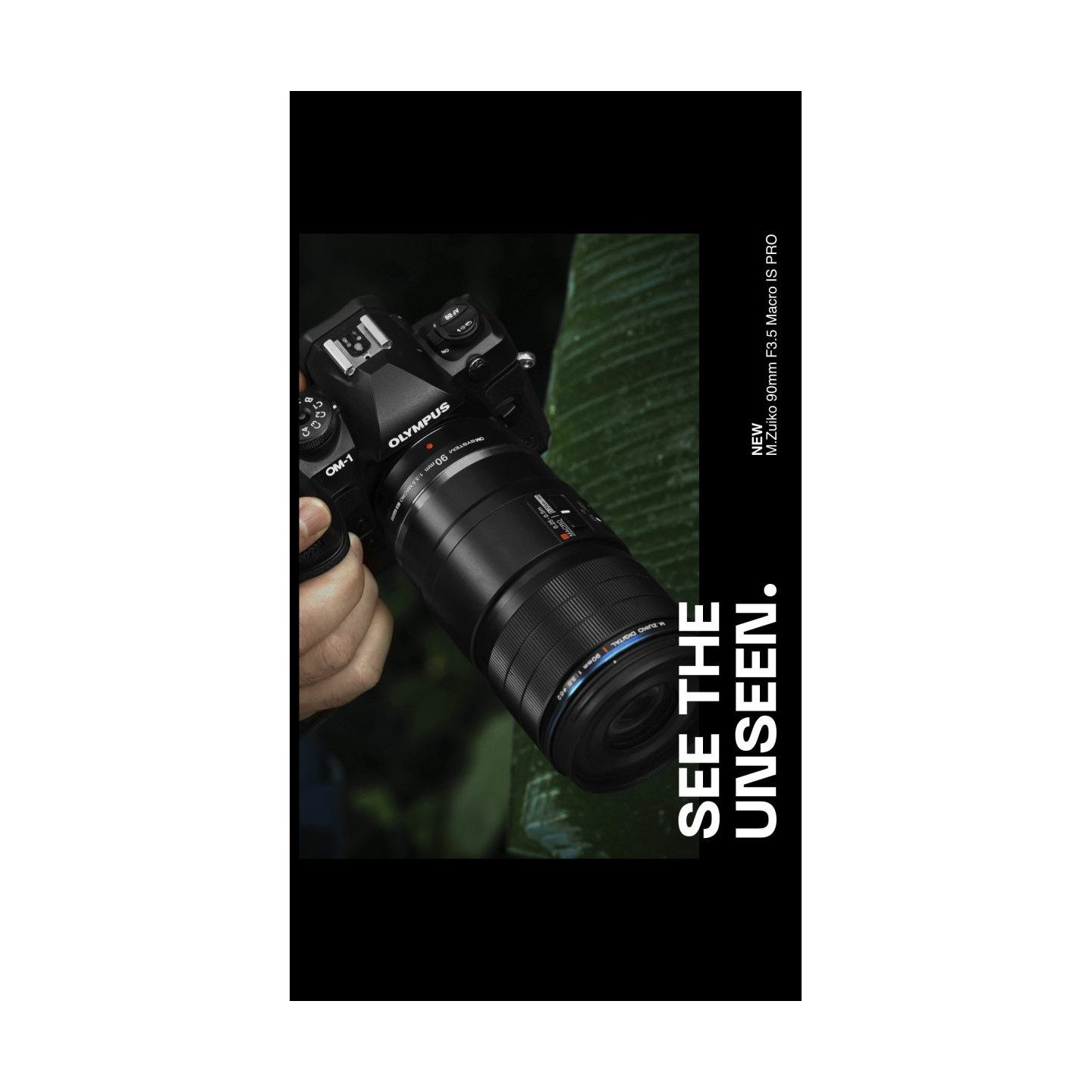 Olympus M.Zuiko Digital ED 90mm F3.5 Macro IS PRO - 90mm Macro Lens with IS PRO (incl. hood & cap)