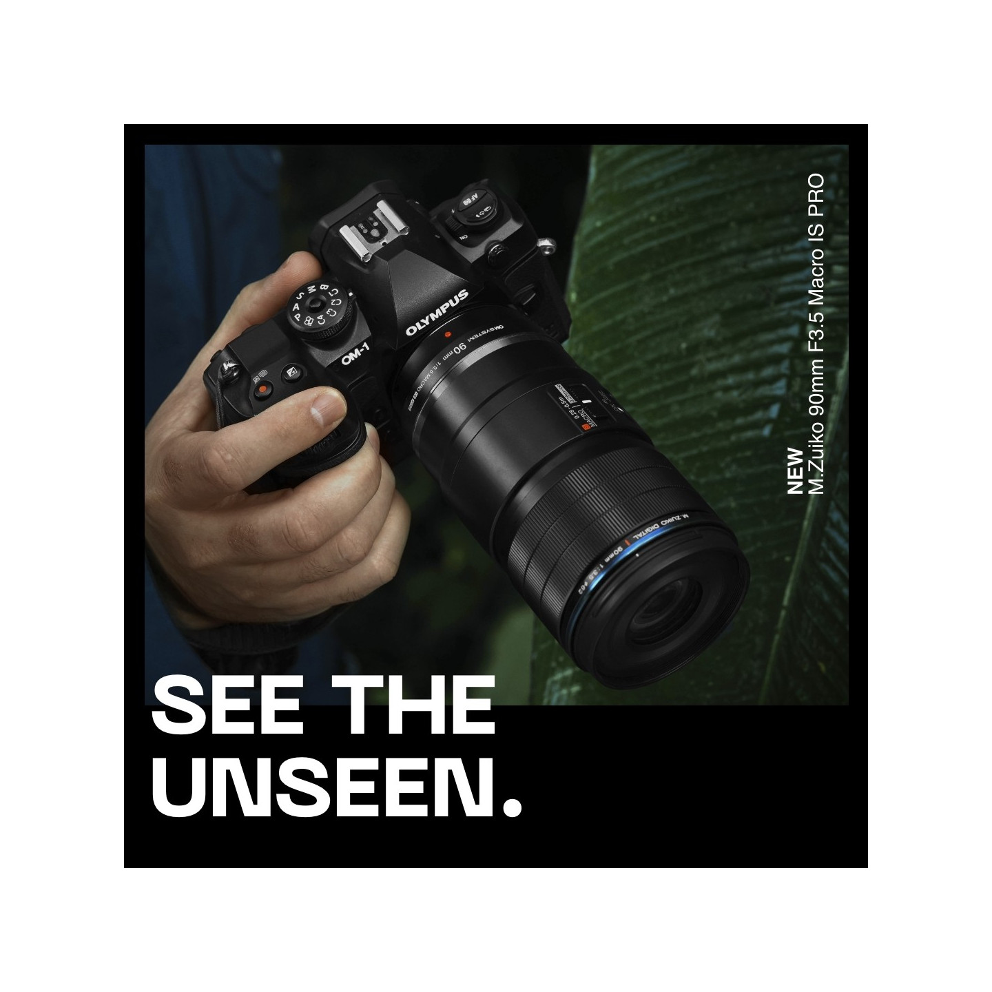 Olympus M.Zuiko Digital ED 90mm F3.5 Macro IS PRO - 90mm Macro Lens with IS PRO (incl. hood & cap)