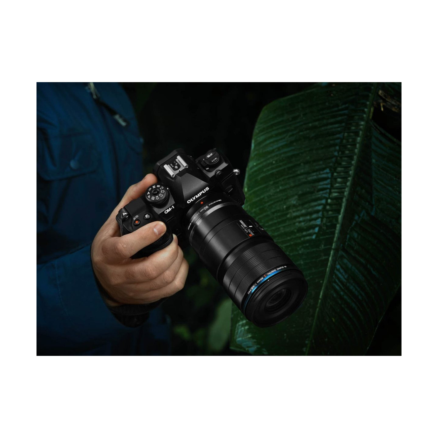 Olympus M.Zuiko Digital ED 90mm F3.5 Macro IS PRO - 90mm Macro Lens with IS PRO (incl. hood & cap)