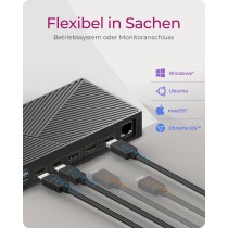 ICY BOX Docking Station 4x USB-A 2x USB-C 2x HDMI DP Black — Armenius Store Cyprus