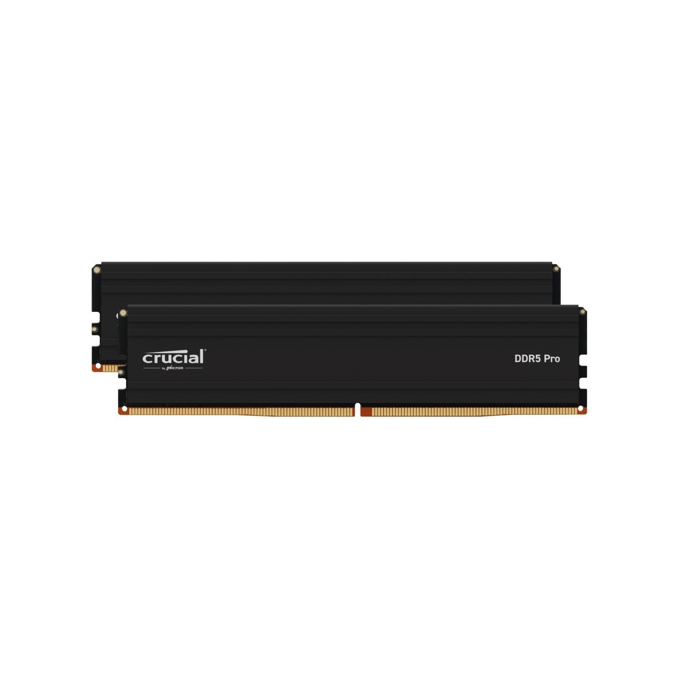 Crucial Pro 96GB [2x48GB 5600MHz DDR5 CL46 UDIMM] — Buy in Cyprus with Fast Delivery