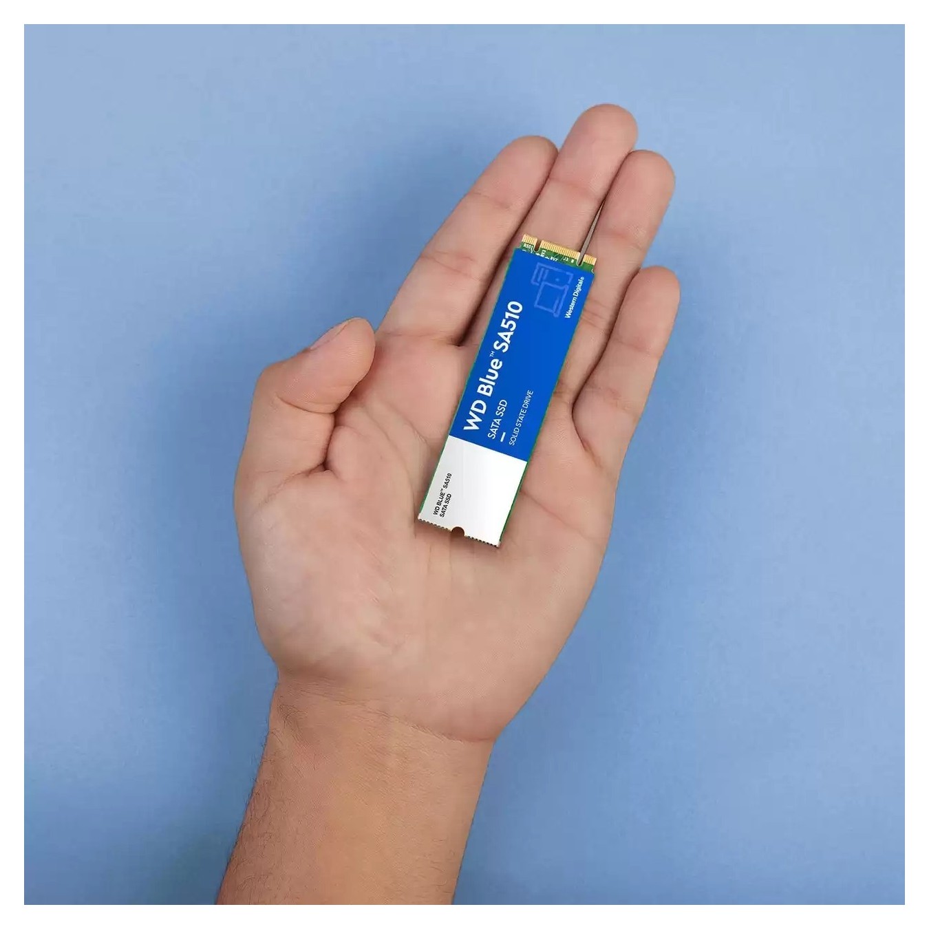 M.2 WD Blue SA510 SSD 250GB - SA510 - M.2 2280 SATA III 6Gb s internal single-packed — Buy in Cyprus with Fast Delivery