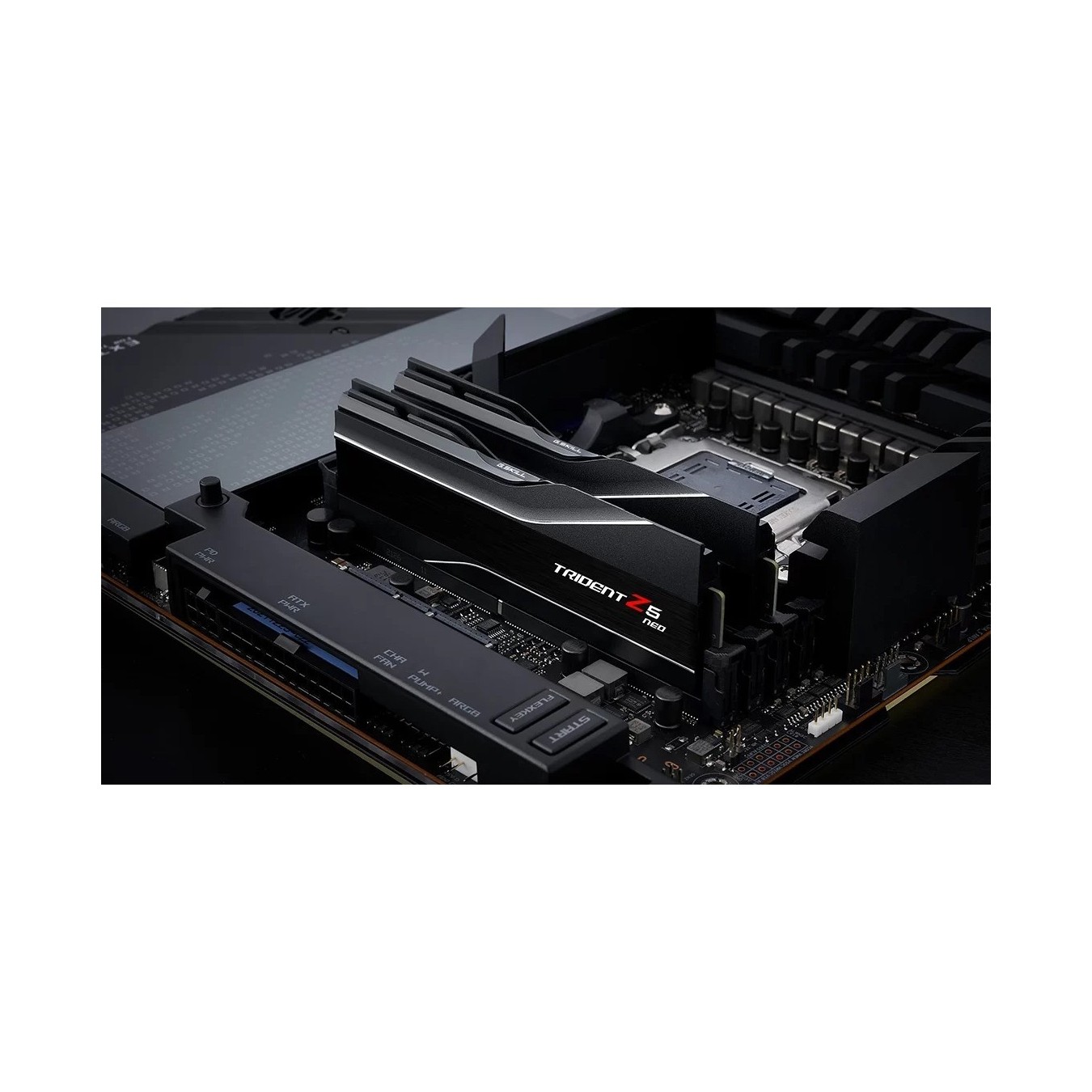G.Skill DDR5 Memory Kit - 32-GX2-TZ5N - 32GB PC 6000 CL36 (2x16GB) AMD EXPO — Buy in Cyprus with Fast Delivery