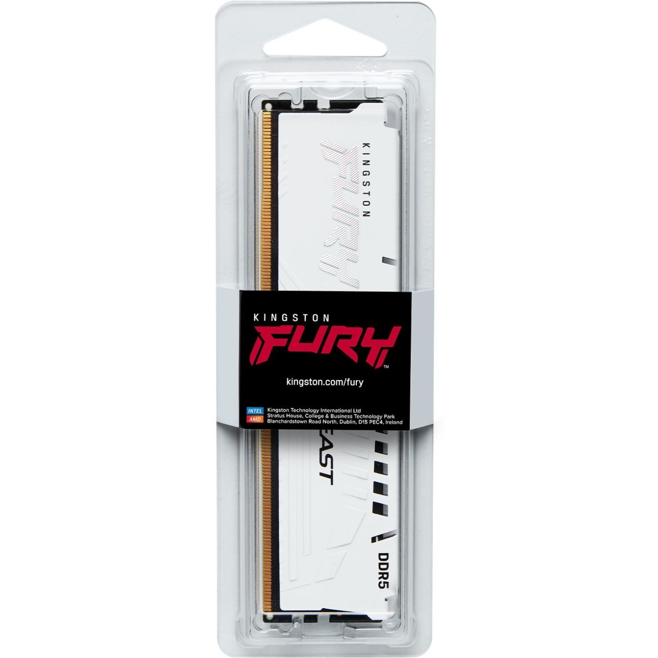 KINGSTON FURY Beast 32GB DIMM DDR5 5600MT s DDR5 CL36 White EXPO — Buy in Cyprus with Fast Delivery
