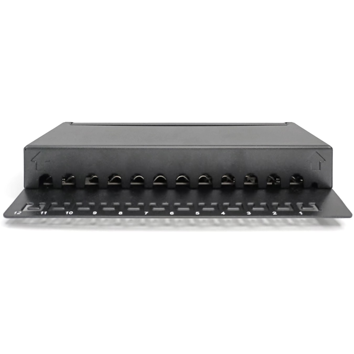 DIGITUS Patch Panel 1HE 12-Port Cat6A Shielded Black — Buy in Cyprus with Fast Delivery