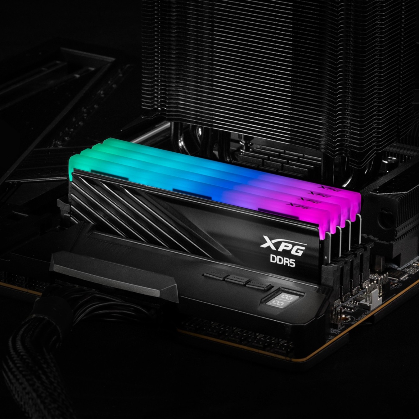 ADATA DIMM 6000 32 GB (2x16 GB) Dual-Kit - AX5U6000C3016G-DTLABRBK. - Black, DDR5 6000 MHz, RGB, XMP/EXPO