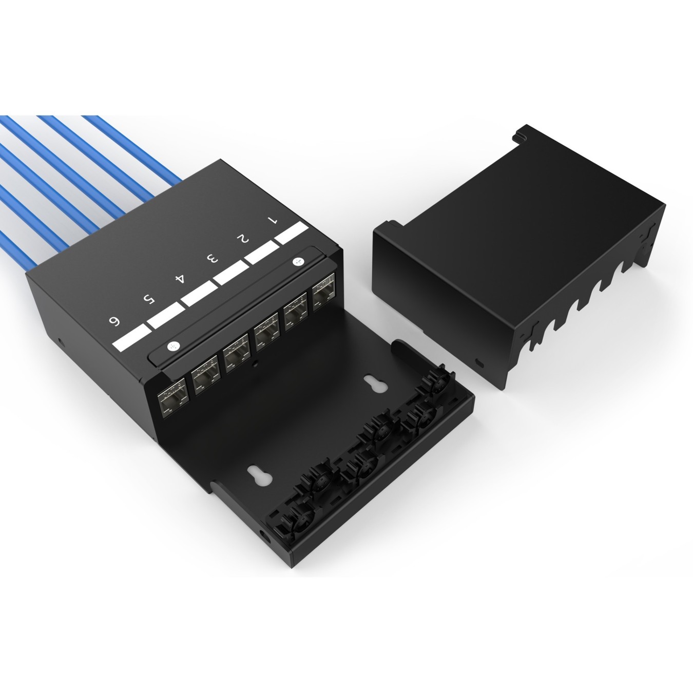 DIGITUS Konsolidierungspunkt-Box 6Ports Keystone Module - Characteristics (Color, Memory size, CPU speed, etc)