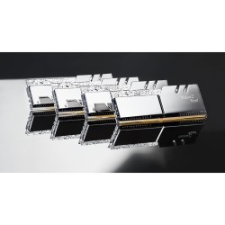 Buy G.Skill DIMM 64 GB DDR4-3600 (4x 16 GB) Quad-Kit - F4-3600C16Q-64GTRSC - sil... in Cyprus, Nicosia, Limassol, Larnaka, Pafos