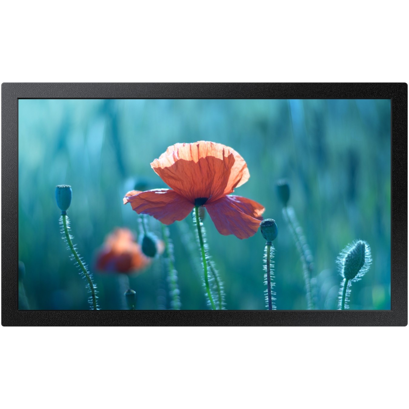 Samsung Smart Signage QB13C - QB13C - 13-inch compact signage display — Buy in Cyprus with Fast Delivery