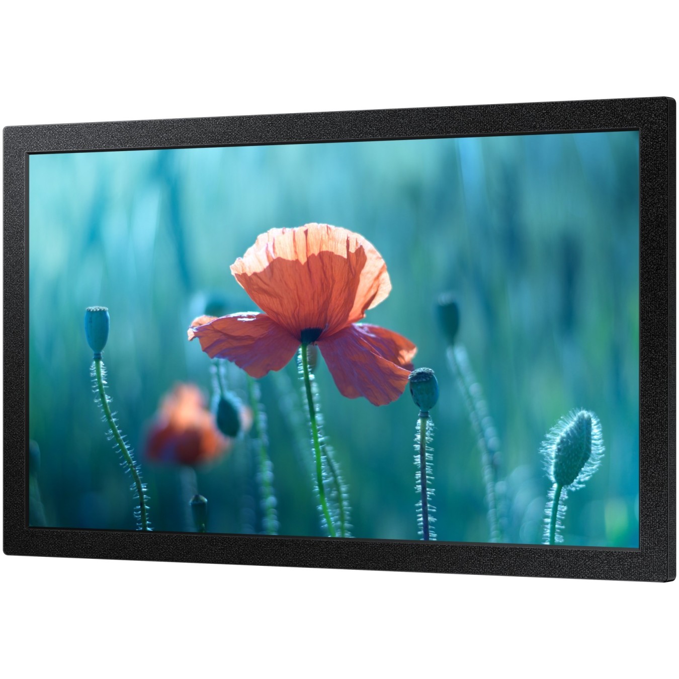 Samsung Smart Signage QB13C - QB13C - 13-inch compact signage display — Buy in Cyprus with Fast Delivery