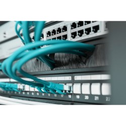 Buy Cable brush strip 1HE opening 24x423mm - Blank panel - Black in Cyprus, Nicosia, Limassol, Larnaka, Pafos