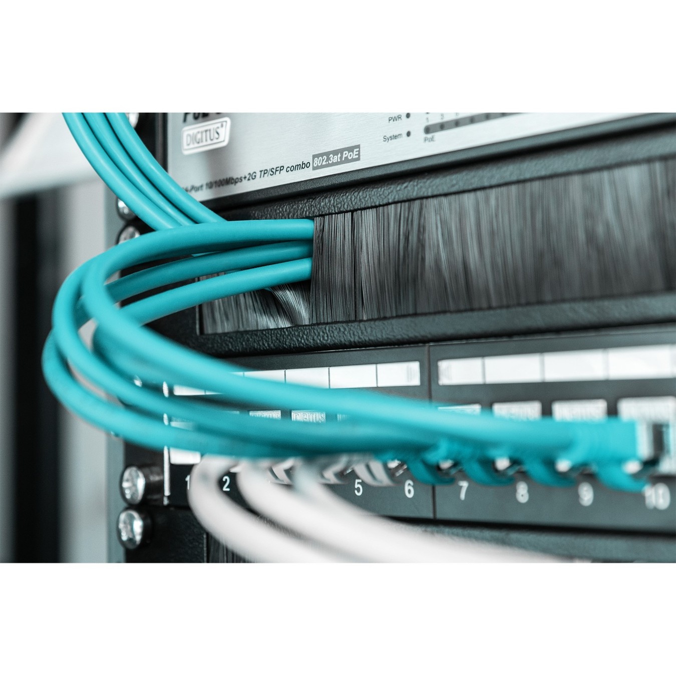 Cable brush strip 1HE opening 24x423mm - Blank panel - Black — Buy in Cyprus with Fast Delivery