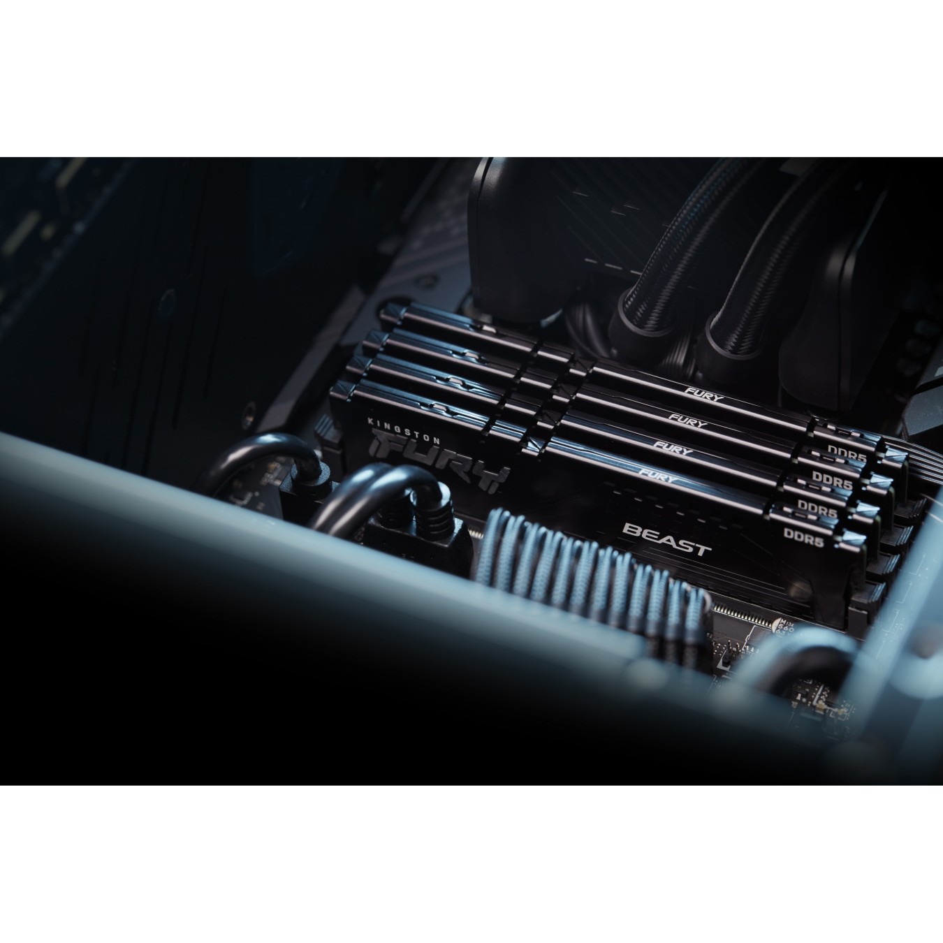 Kingston FURY Beast DDR5 32GB (2x16GB) 6400MT s CL32 DIMM Kit - Black EXPO — Buy in Cyprus with Fast Delivery