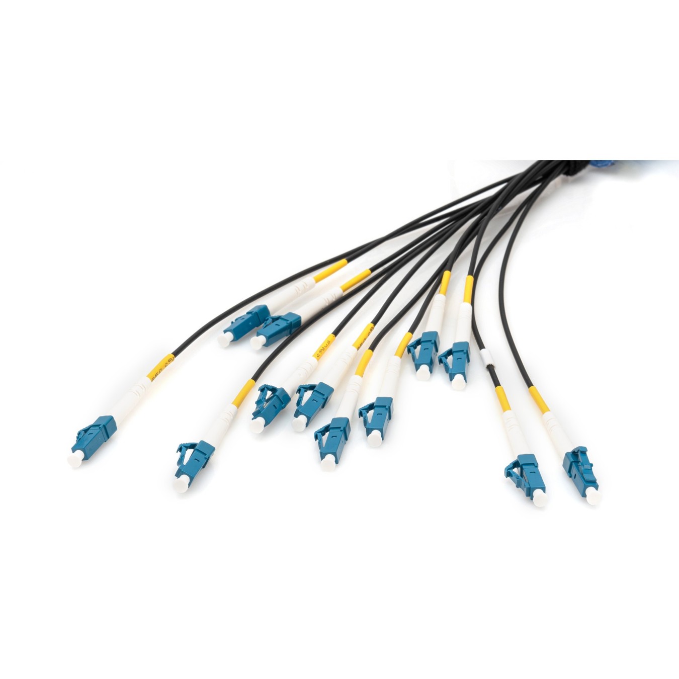 DIGITUS LWL Patchkabel LC- to UPC 50m Vorkonfektioniert OS2 12 — Buy in Cyprus with Fast Delivery