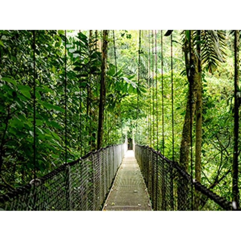 Buy HP EliteBook 6 G1a AMD Ryzen 7 250 35.56cm 14Zoll WUXGA 16GB 512GB SSD W11P ... in Cyprus, Nicosia, Limassol, Larnaka, Pafos