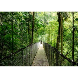 Buy HP EliteBook 6 G1a AMD Ryzen 7 250 35.56cm 14Zoll WUXGA 16GB 512GB SSD W11P ... in Cyprus, Nicosia, Limassol, Larnaka, Pafos