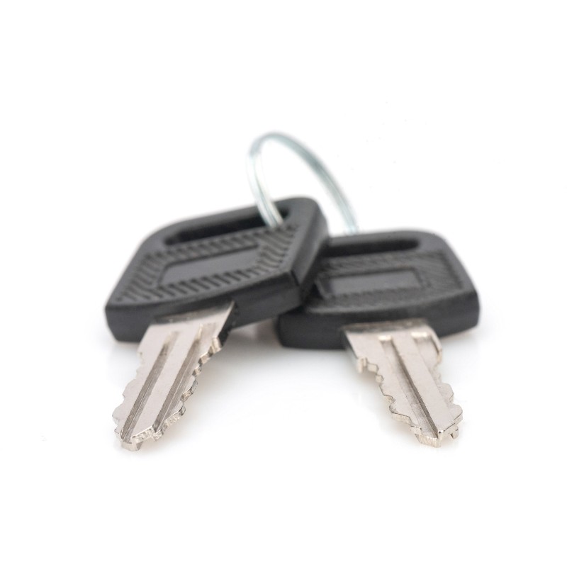 Buy DIGITUS Key No. DN-KEY-WM - DN-KEY-WM - Locking Key (Black. Silver) in Cyprus, Nicosia, Limassol, Larnaka, Pafos