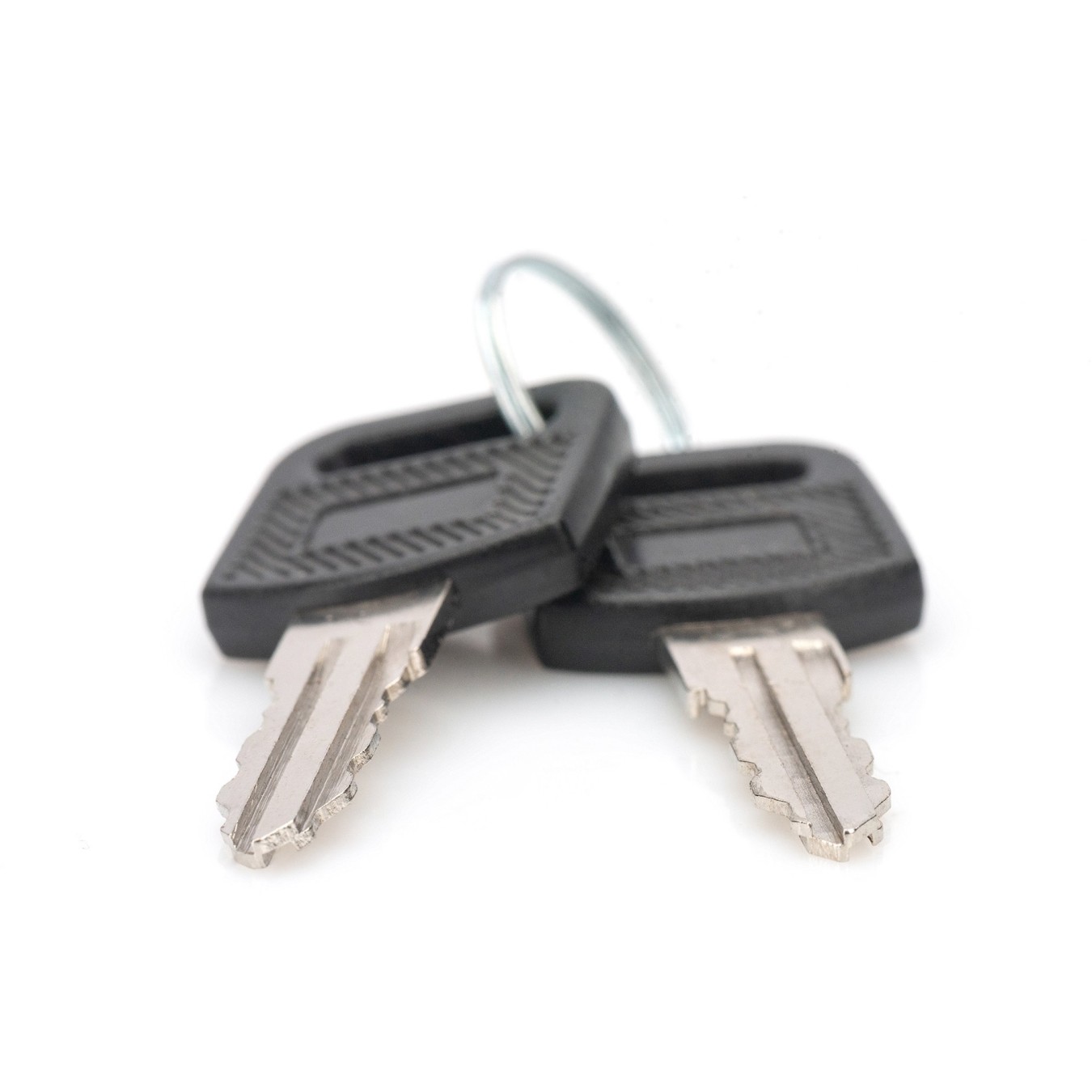 DIGITUS Key No. DN-KEY-WM - DN-KEY-WM - Locking Key (Black. Silver) — Buy in Cyprus with Fast Delivery